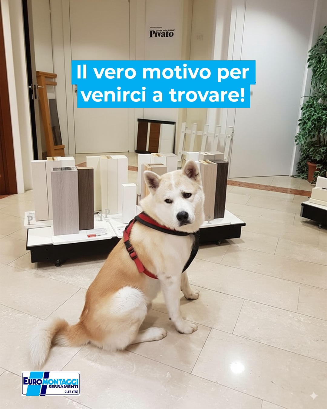 Euromontaggi Cles showroom 4